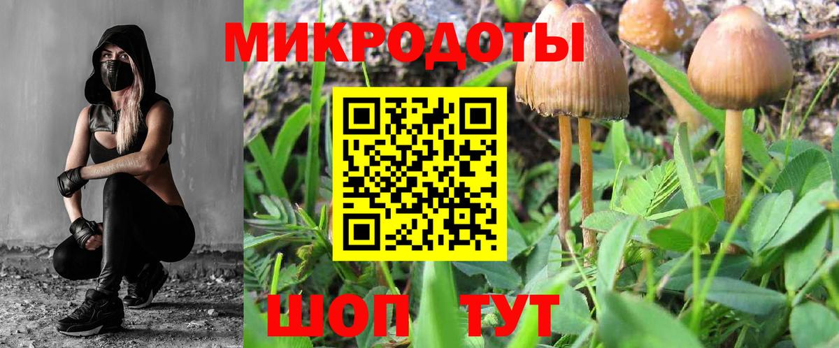 Галлюциногенные грибы мухоморы Борзя